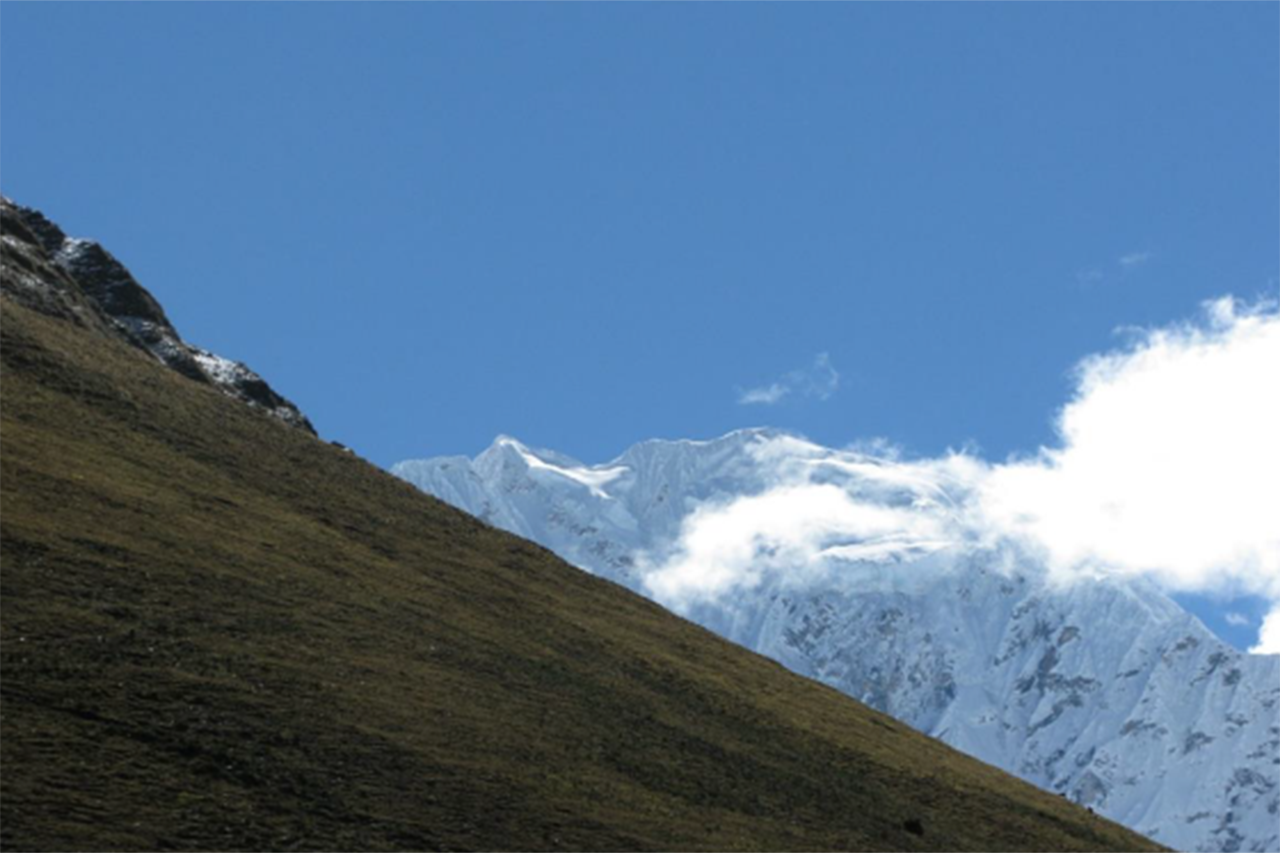 Andean Despacho 2025